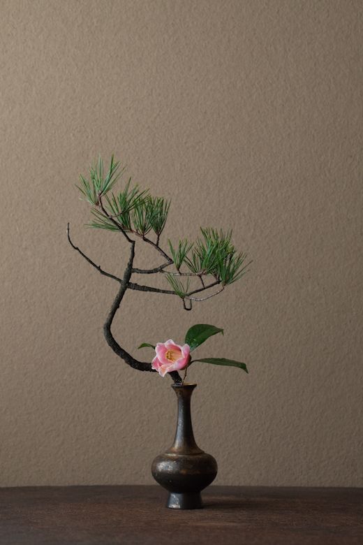 花藝師培訓(xùn)大概學(xué)費(fèi)
