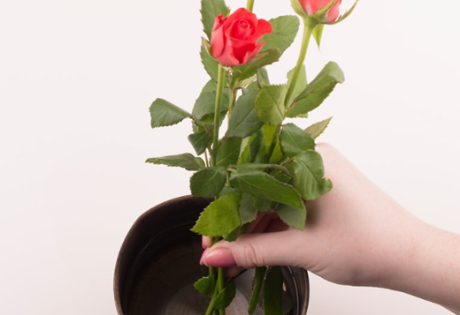零基礎(chǔ)插花花藝培訓使用溫水如何讓鮮花持續(xù)更長時間方法