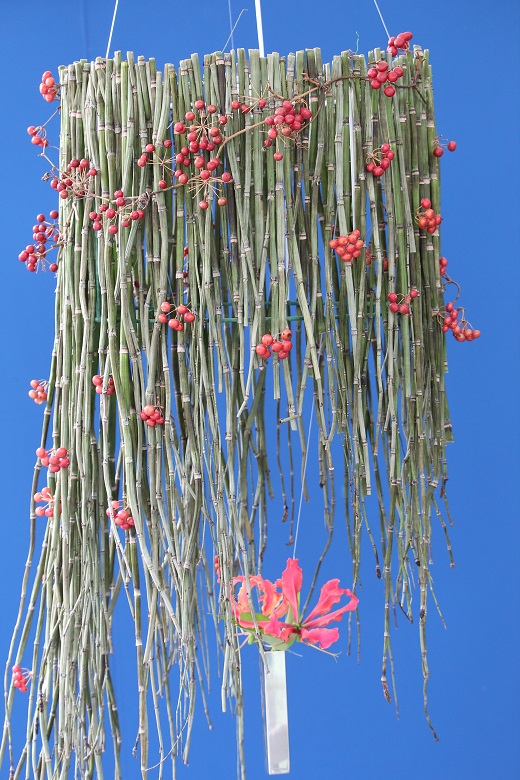 茶室插花的 13 個(gè)小竅門